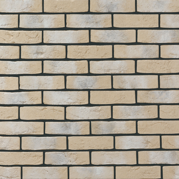 Дижон 052